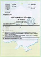 Патенти ТОВ Інмайстерс - Патент № 56537А, ендопротез кульшового суглоба